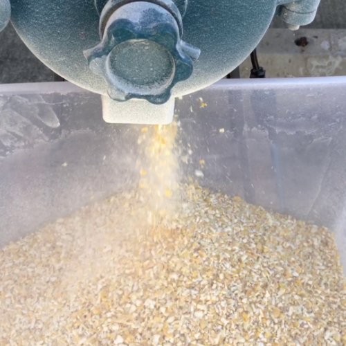 corn_grinding_50